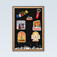 Travel Souvenir Magnet Collector