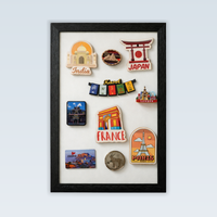 Travel Souvenir Magnet Collector