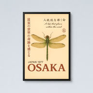Osaka Dragonfly