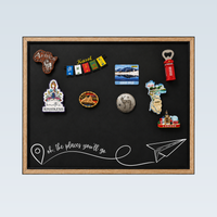 Travel Souvenir Magnet Collector