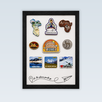 Travel Souvenir Magnet Collector