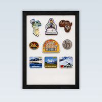 Travel Souvenir Magnet Collector