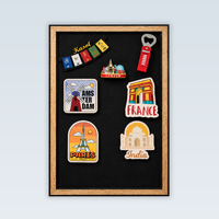 Travel Souvenir Magnet Collector
